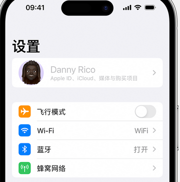 忻城appleID维修服务iPhone设置中Apple ID显示为灰色无法使用 