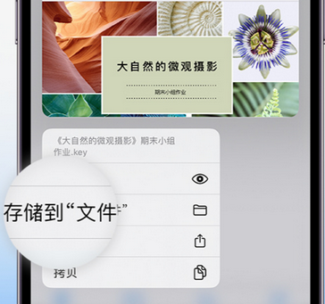 忻城apple维修中心分享iPhone文件应用中存储和找到下载文件