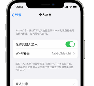 忻城apple服务站点分享iPhone上个人热点丢失了怎么办 