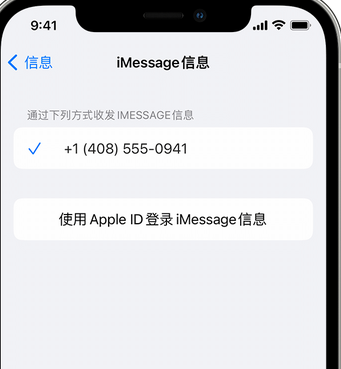 忻城apple维修iPhone上无法正常发送iMessage信息 