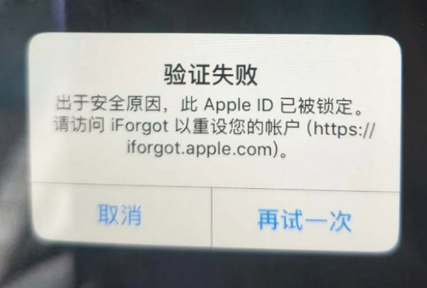 忻城iPhone维修分享iPhone上正常登录或使用AppleID怎么办 