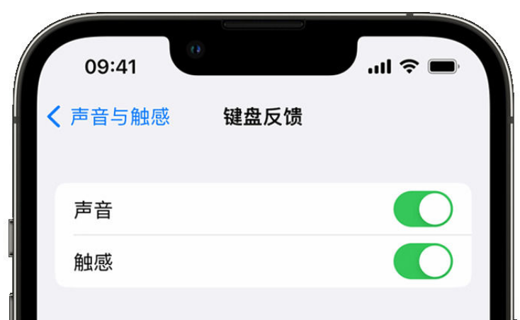 忻城苹果手机维修分享iPhone 14触感键盘使用方法 