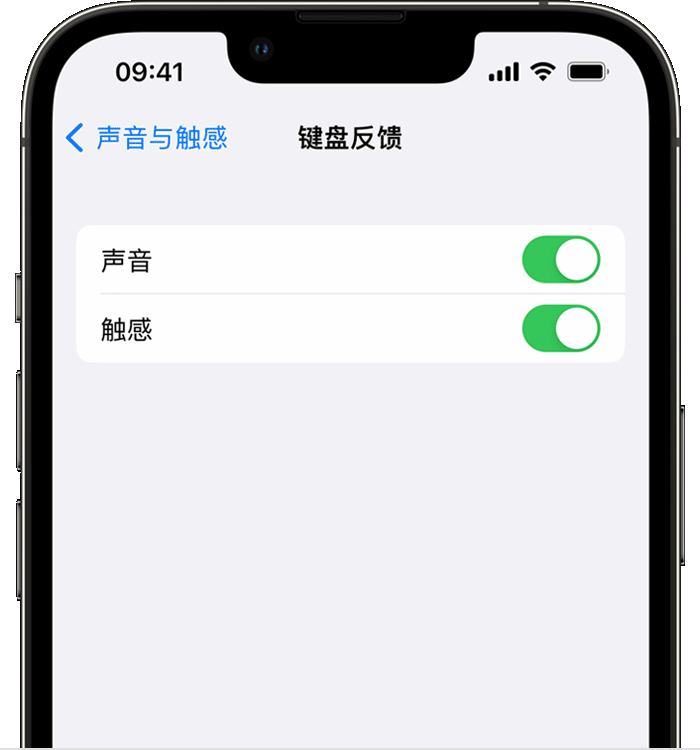 忻城苹果14维修店分享如何在 iPhone 14 机型中使用触感键盘 