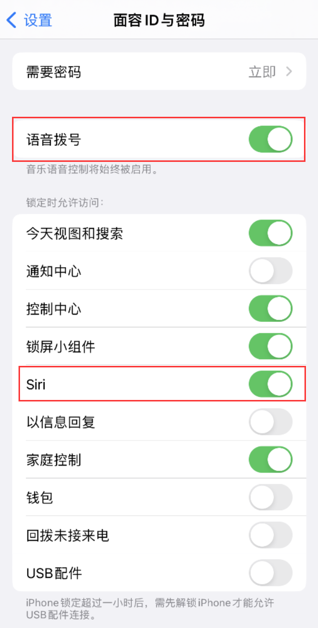 忻城苹果维修网点分享不解锁 iPhone 的情况下通过 Siri 拨打电话的方法 