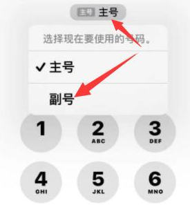 忻城苹果14维修店分享iPhone 14 Pro Max使用副卡打电话的方法 