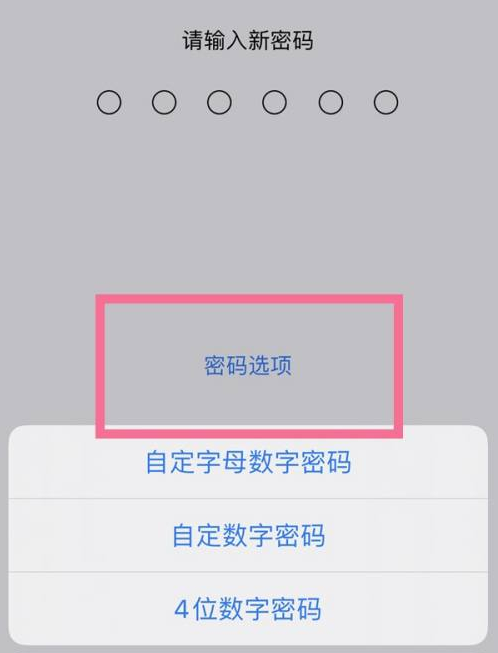 忻城苹果14维修分享iPhone 14plus设置密码的方法 