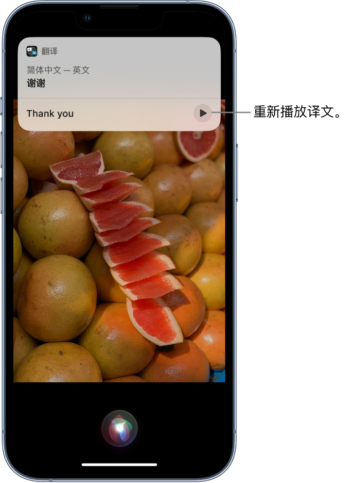 忻城苹果14维修分享 iPhone 14 机型中使用 Siri：了解 Siri 能帮你做什么 