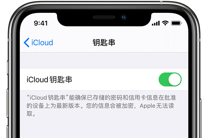 忻城苹果手机维修分享在 iPhone 上开启 iCloud 钥匙串之后会储存哪些信息 