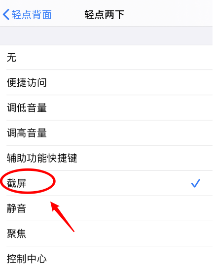 忻城苹果手机维修分享iPhone12如何启用双击截屏 