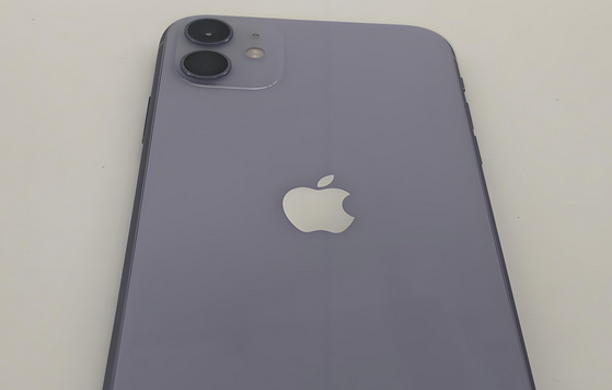 忻城苹果11系统维修分享iPhone11手机系统崩溃无法开机如何解决